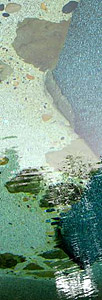Enewsletter