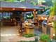 Outdoor Kitchens and Cooking
