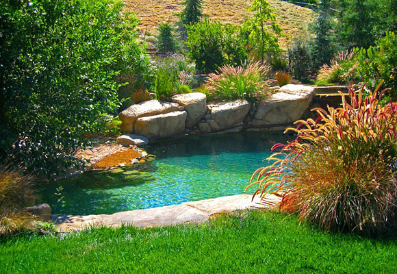 Custom Pools - New & Remodels