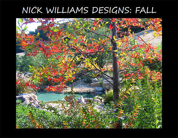 Nick Williams Designs: Fall
