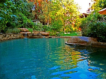 Nick Williams Pools