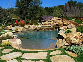 Nick Williams Pools