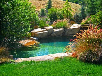 Nick Williams Pools