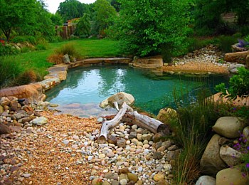 Nick Williams Pools