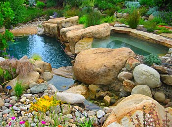 Nick Williams Pools