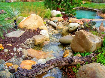 Nick Williams Pools