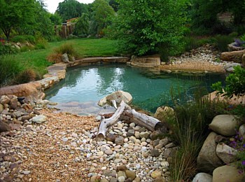 Nick Williams Pools