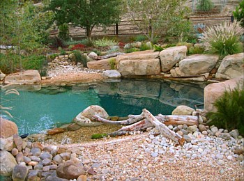 Nick Williams Pools