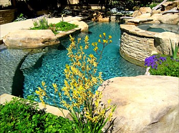 Nick Williams Pools