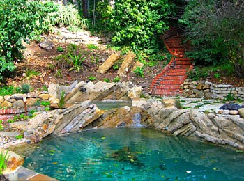 Nick Williams Pools