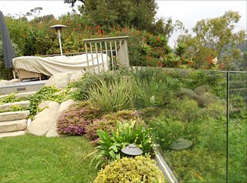 Designing Paradise &amp; Pool Design Process