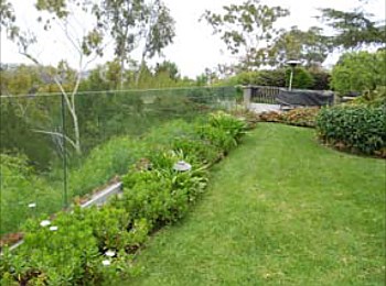 Designing Paradise &amp; Pool Design Process