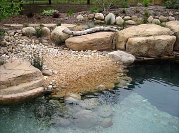 Designing Paradise &amp; Pool Design Process