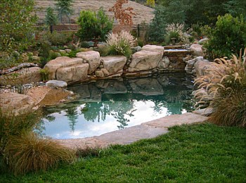 Designing Paradise &amp; Pool Design Process