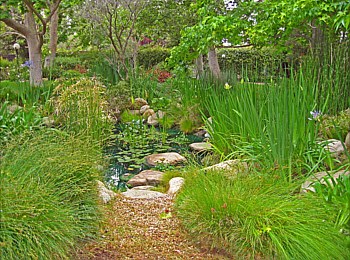 Other Water Features: Ponds, Streams, Fountains, Spas