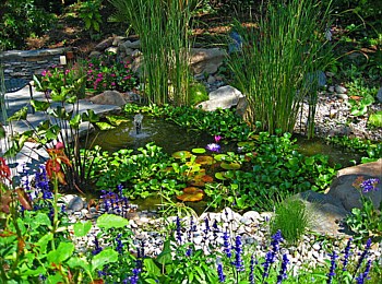 Other Water Features: Ponds, Streams, Fountains, Spas