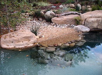 Nick Williams Pools