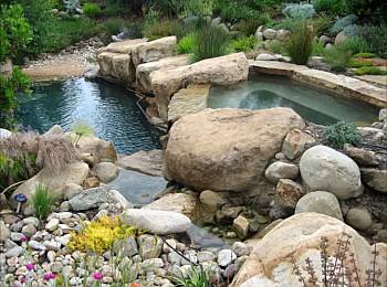 Nick Williams Pools