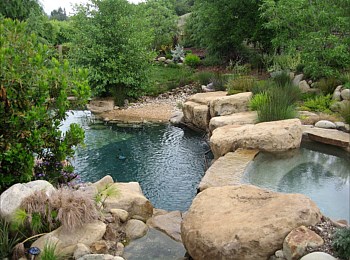 Nick Williams Pools