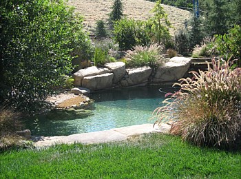 Nick Williams Pools