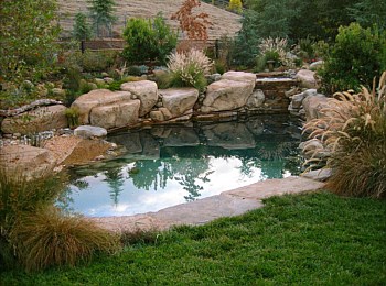 Nick Williams Pools