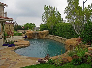 Nick Williams Pools