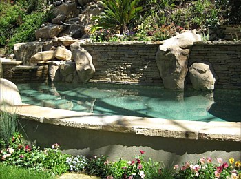 Nick Williams Pools