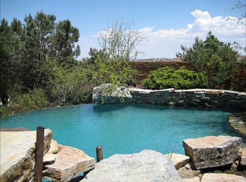 Nick Williams Pools