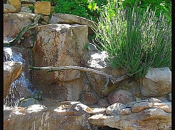 Other Water Features: Ponds, Streams, Fountains, Spas