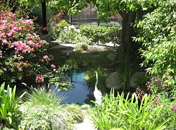 Other Water Features: Ponds, Streams, Fountains, Spas