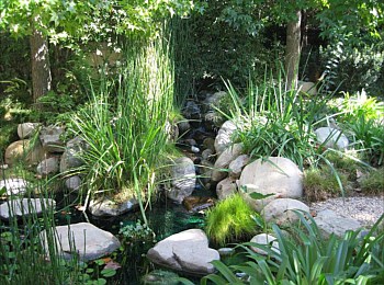 Other Water Features: Ponds, Streams, Fountains, Spas