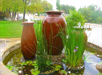 Other Water Features: Ponds, Streams, Fountains, Spas