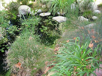 Other Water Features: Ponds, Streams, Fountains, Spas