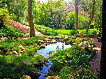 Other Water Features: Ponds, Streams, Fountains, Spas