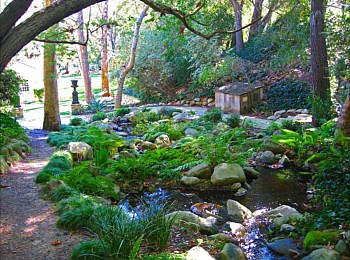 Other Water Features: Ponds, Streams, Fountains, Spas