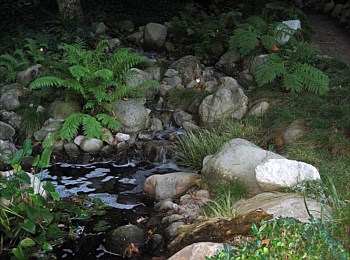 Other Water Features: Ponds, Streams, Fountains, Spas