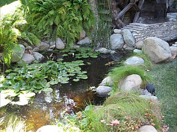 Other Water Features: Ponds, Streams, Fountains, Spas