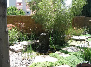 Other Water Features: Ponds, Streams, Fountains, Spas