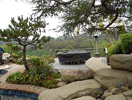 Designing  Paradise