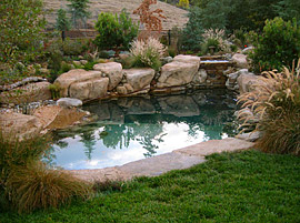 Designing  Paradise